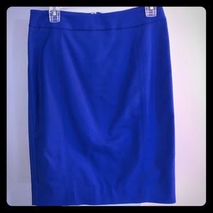 WHBM Dress Skirt